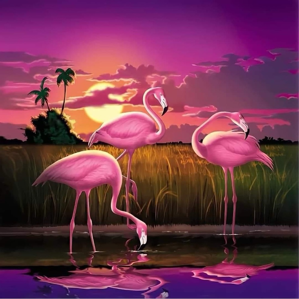 Flamingo at sunset 20 oz tumbler